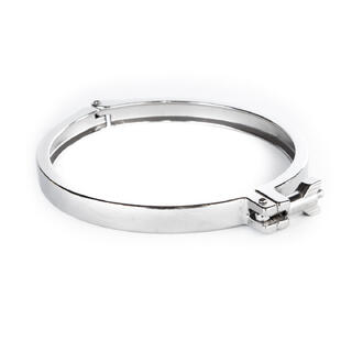 Tri Clamp, 6&quot;