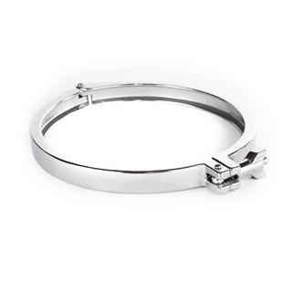 Tri Clamp, 8&quot;